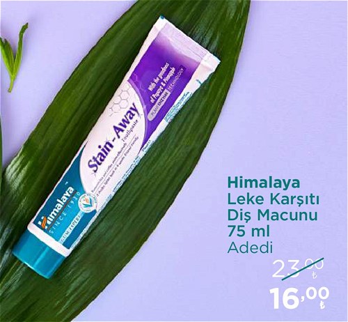 Himalaya Leke Karşıtı Diş Macunu 75 ml image