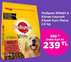 Pedigree Biftekli & Kümes Hayvanlı Köpek Kuru Mama 2,6 kg image