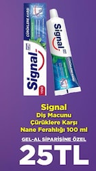 Signal Diş Macunu Çürüklere Karşı Nane Ferahlığı 100 ml  image