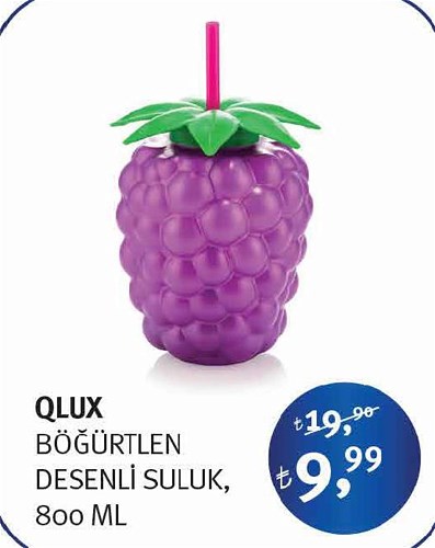 Qlux Böğürtlen Desenli Suluk 800 Ml image