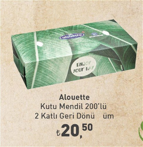 Alouette Kutu Mendil 200'lü 2 Katlı Geri Dönüşüm image