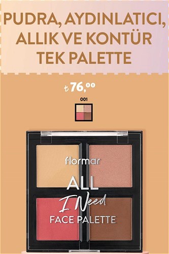 Flormar Pudra Aydınlatıcı Allık ve Kontür Tek Palette 001 image