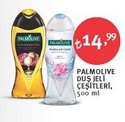 Palmolive Duş Jeli Çeşitleri 500 ml image