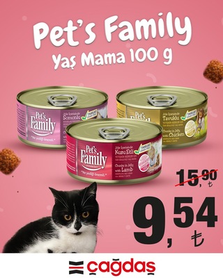 Pets Family Yaş Mama 100 g image