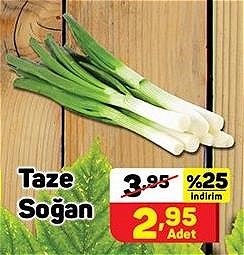 Taze Sogan Indirimde Market