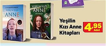 Yeşilin Kızı Anne Kitapları/Adet image