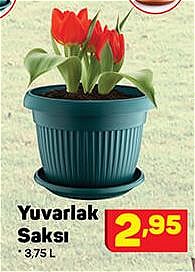 Yuvarlak Saksı 3,75 l image