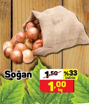 Soğan image