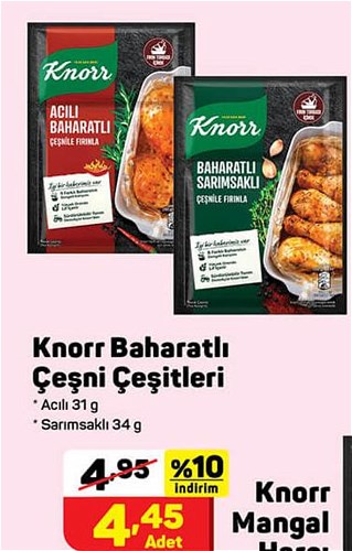 Knorr Baharatlı Çeşni Çeşitleri image