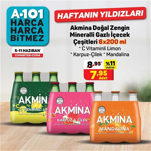 Akmina Doğal Zengin Mineralli İçecek Çeşitleri 6x200 ml image