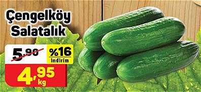 Çengelköy Salatalık kg image