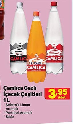 Çamlıca Gazlı İçecek Çeşitleri 1 L image