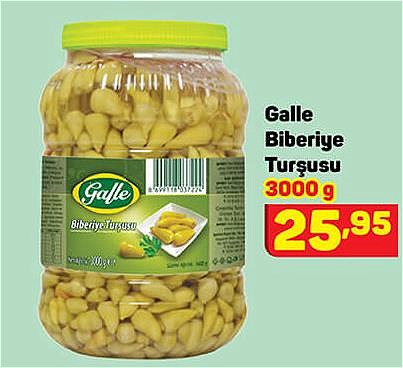 Galle Biberiye Turşusu 3000 g image