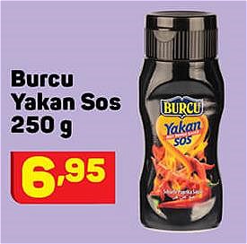 Burcu Yakan Sos 250 g image