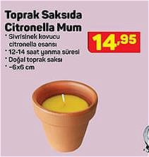 Toprak Saksıda Citronella Mum  image