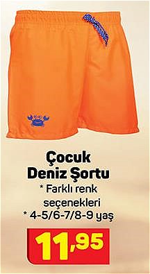 Çocuk Deniz Şortu image