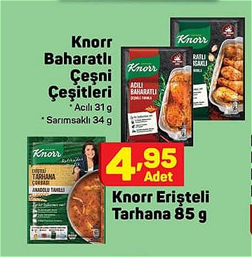 Knorr Baharatlı Çeşni Çeşitleri / Knorr Erişteli Tarhana 85 g image