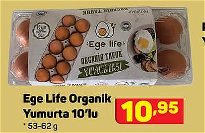 Ege Life Organik Yumurta 10'lu 53-62 g image