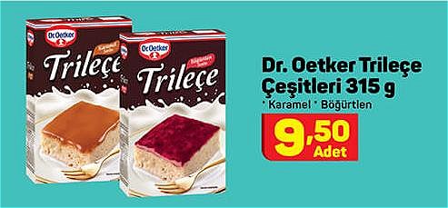 Dr. Oetker Trileçe Çeşitleri 315 g image