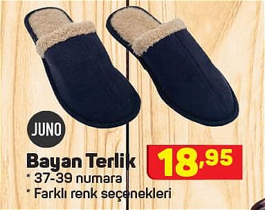 Juno Bayan Terlik image