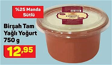 Birşah Tam Yağlı Yoğurt 750 g image