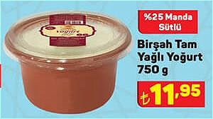 Birşah Tam Yağlı Yoğurt 750 g %25 Manda Sütlü image