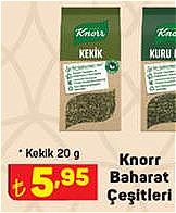 Knorr Baharat Kekik 20 g image