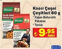 Knorr Çeşni Çeşitleri 60 g image