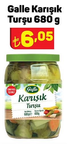 Galle Karışık Turşu 680 g image