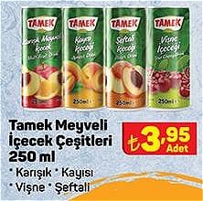 Tamek Meyveli İçecek Çeşitleri 250 ml image