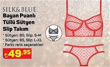 Silk&Blue Bayan Puanlı Tüllü Sütyen Slip Takım image