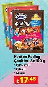 Kenton Puding Çeşitleri 3x100 g image