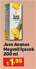 Juss Ananas Meyveli İçecek 200 ml image