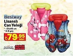 Bestway Lisanslı Can Yeleği 51x46 cm Spider-Man/Minnie Mouse image