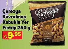 Çerezya Kavrulmuş Kabuklu Yer Fıstığı 250 g image