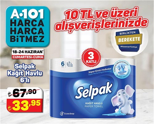 Selpak Kağıt Havlu 6'lı 3 Katlı | İndirimde Market