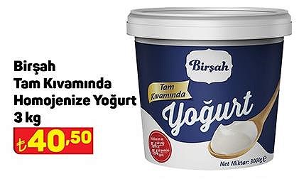 Birşah Tam Kıvamında Homojenize Yoğurt 3 kg image