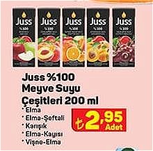 Juss %100 Meyve Suyu Çeşitleri 200 ml image