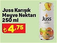 Juss Karışık Meyve Nektarı 250 ml image