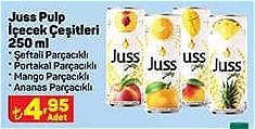 Juss Pulp İçecek Çeşitleri 250 ml image