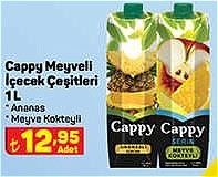 Cappy Meyveli İçecek Çeşitleri 1 L image