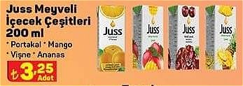 Juss Meyveli İçecek Çeşitleri 200 ml image