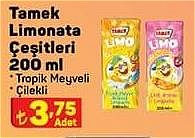 Tamek Limonata Çeşitleri 200 ml image