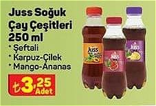 Juss Soğuk Çay Çeşitleri 250 ml image