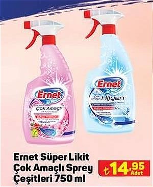 Ernet Süper Likit Çok Amaçlı Sprey Çeşitleri 750 ml image