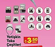 Yetişkin Toka Çeşitleri image