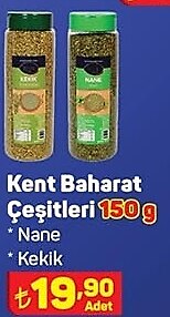 Kent Baharat Çeşitleri 150 g image