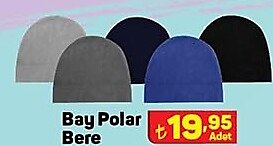 Bay Polar Bere image