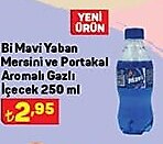 Bi Mavi Yaban Mersini ve Portakal Aromalı Gazlı İçecek 250 ml image