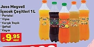 Juss Meyveli İçecek Çeşitleri 1 L image
